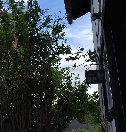 Huehnerstaellchen Dumpelfeld Exteriör bild
